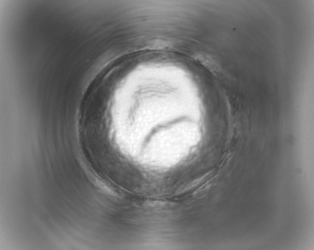 X0000075330242200609292016