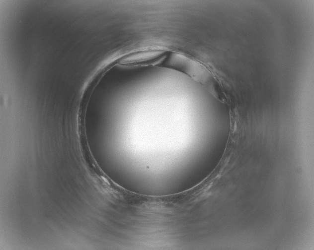 X0000075330244200609292016