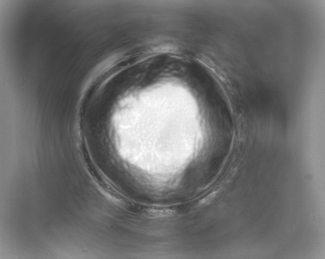 X0000075330245200609292016