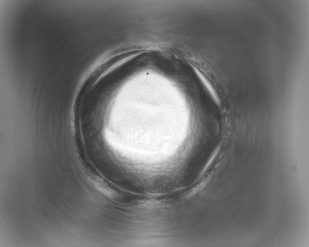 X0000075330246200609292016