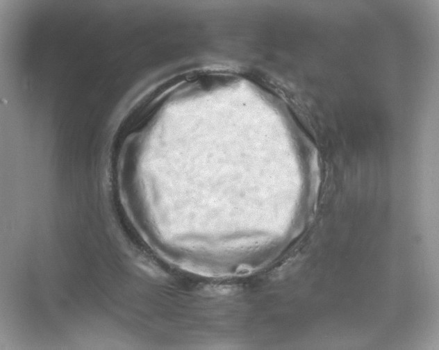 X0000075330247200609292016