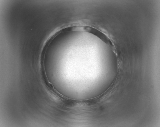 X0000075330248200609292016