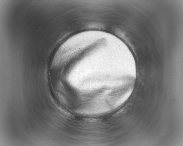 X0000075330249200609292016