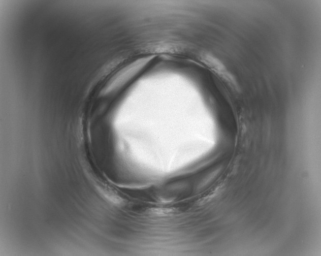 X0000075330250200609292016
