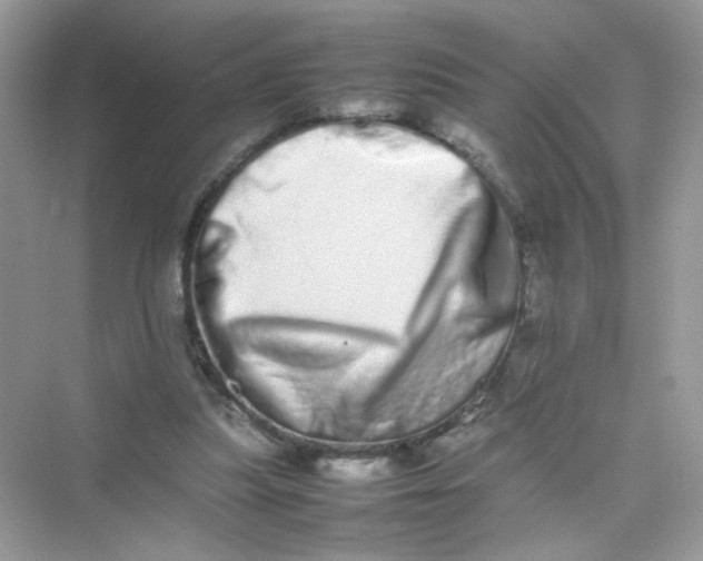 X0000075330251200609292016