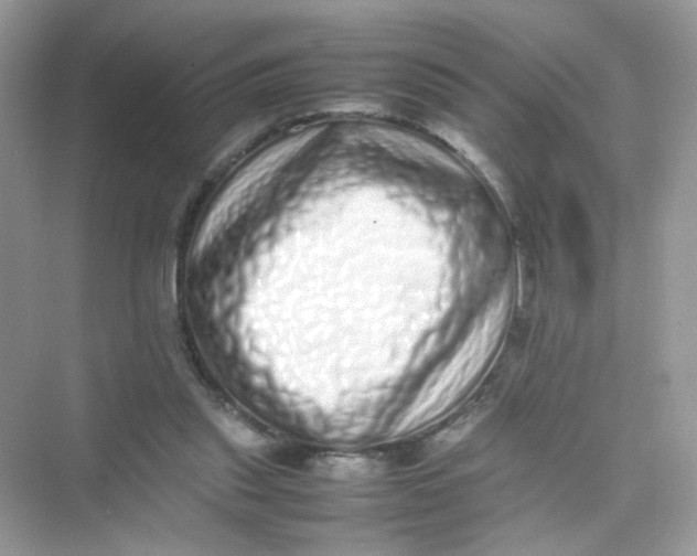 X0000075330253200609292016