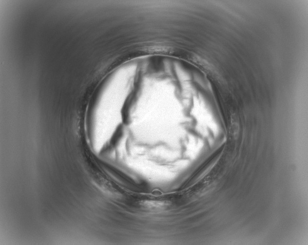 X0000075330255200609292016