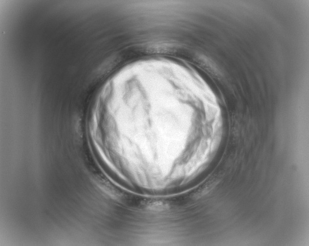 X0000075330258200609292016