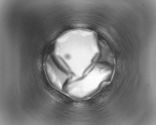 X0000075330259200609292016