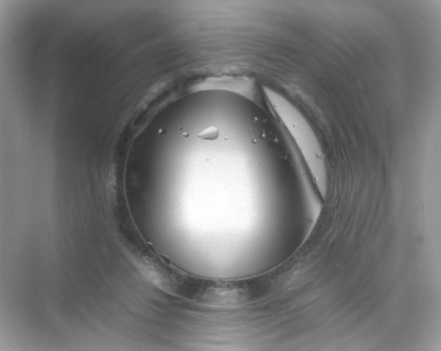 X0000075330260200609292016