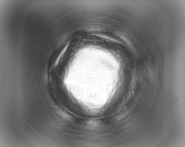 X0000075330261200609292016