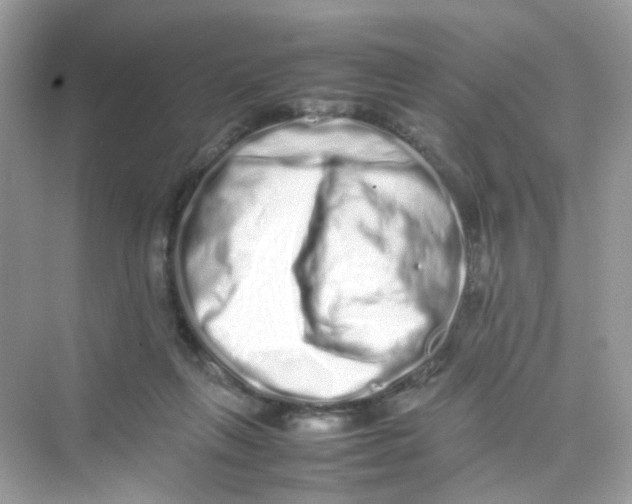 X0000075330263200609292016