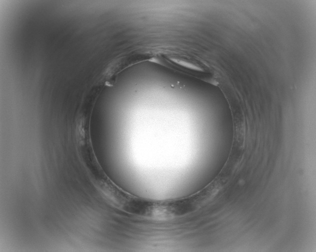 X0000075330264200609292016