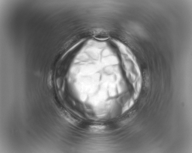 X0000075330266200609292016