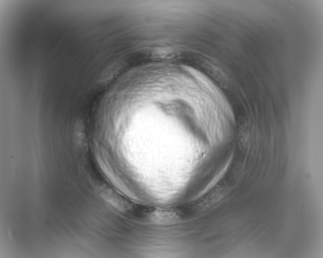 X0000075330270200609292016