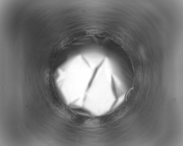 X0000075330271200609292016