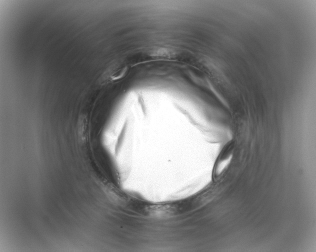 X0000075330273200609292016