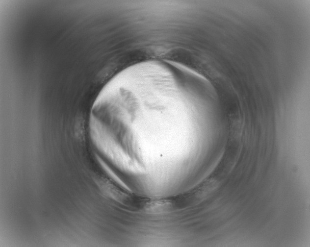 X0000075330274200609292016