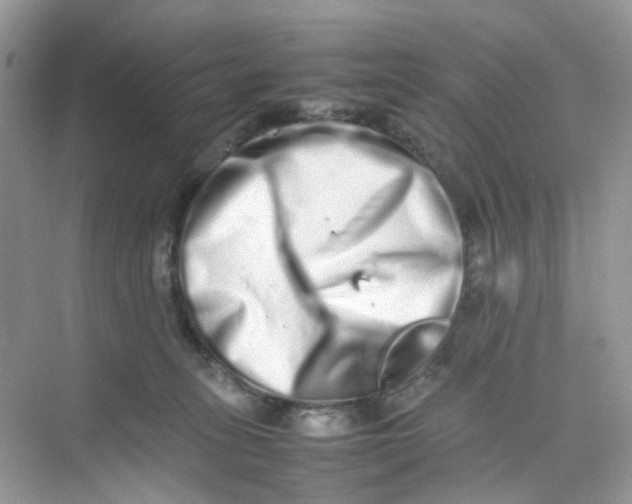 X0000075330275200609292016