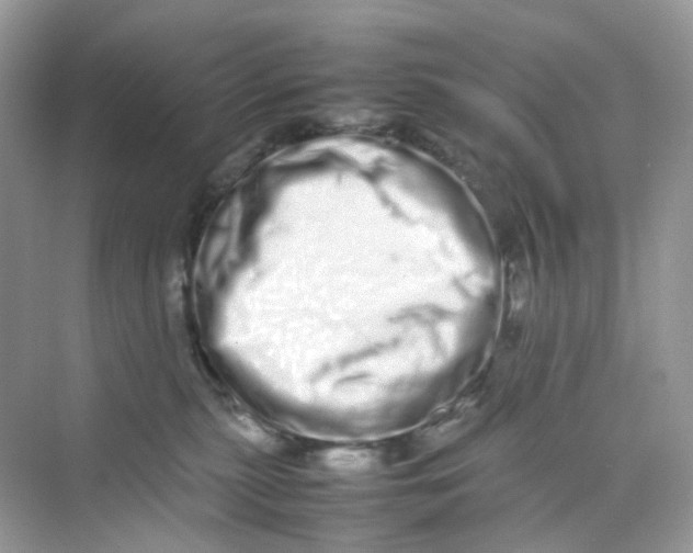 X0000075330279200609292016