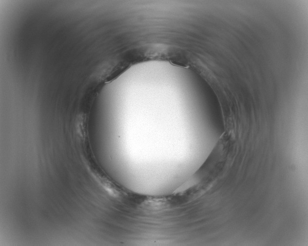 X0000075330280200609292016