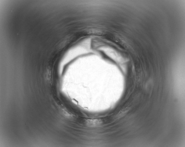 X0000075330281200609292016
