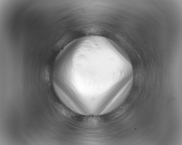 X0000075330282200609292016