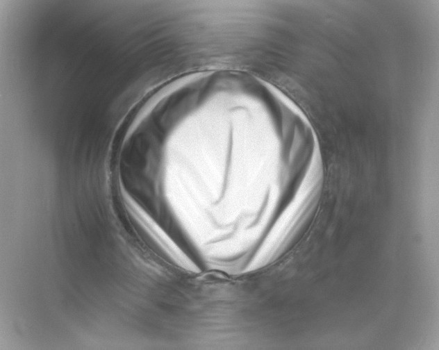 X0000075330290200609292016