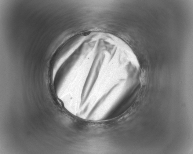 X0000075330291200609292016