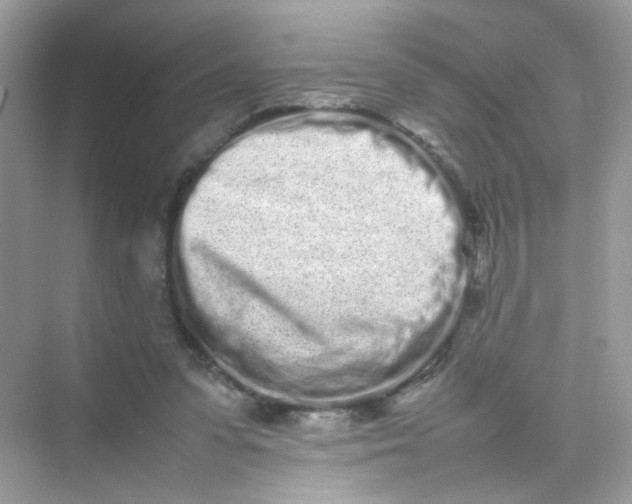 X0000075330303200609292015