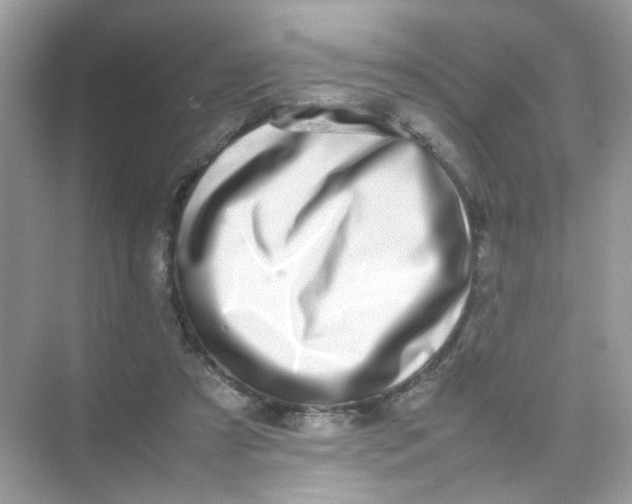 X0000075330305200609292015
