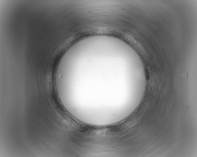 X0000075330306200609292015