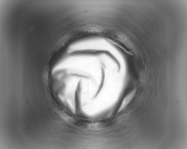 X0000075330309200609292015