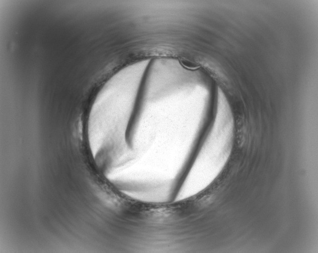 X0000075330310200609292015