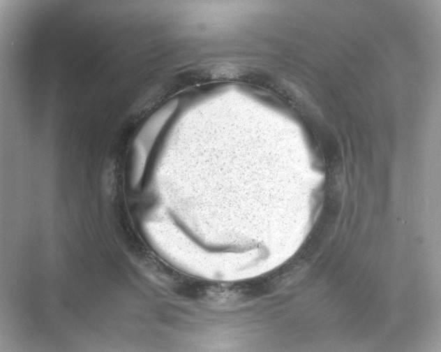 X0000075330311200609292015