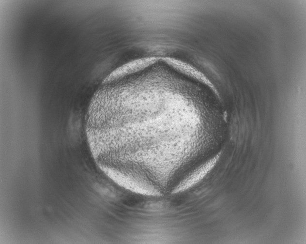 X0000075330314200609292015