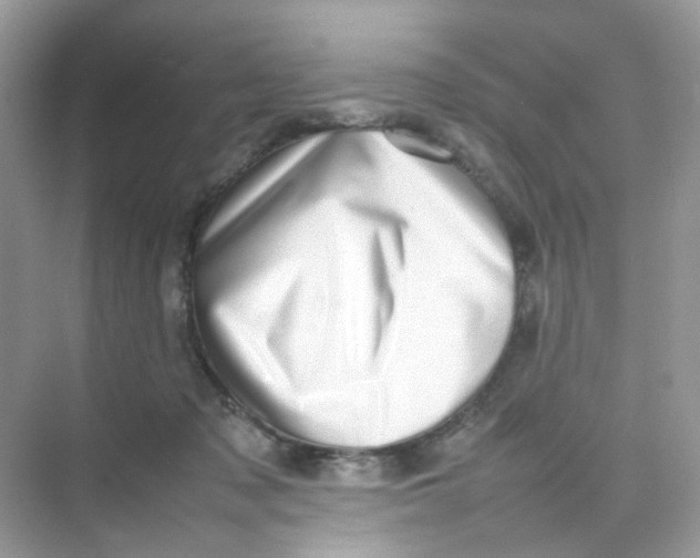X0000075330317200609292015