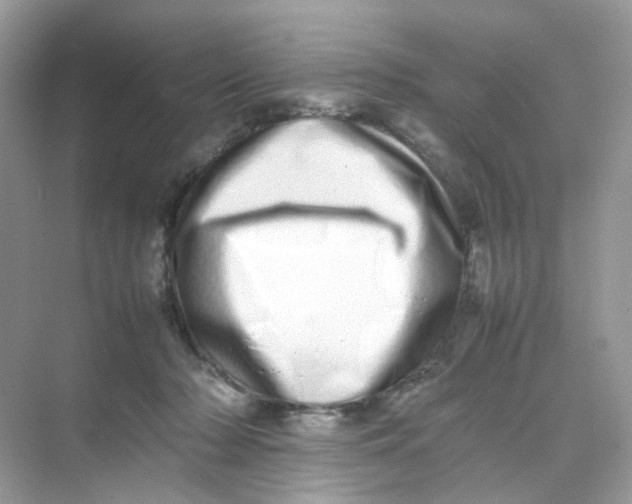 X0000075330318200609292015
