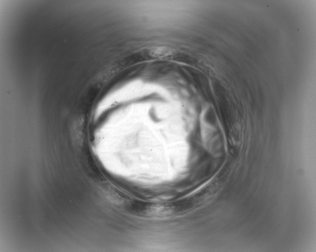 X0000075330319200609292015
