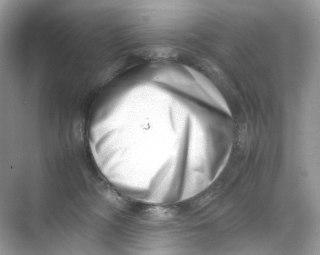 X0000075330326200609292015