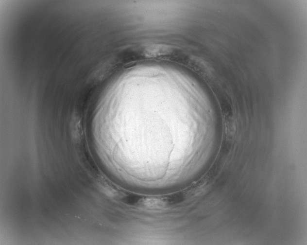 X0000075330327200609292015
