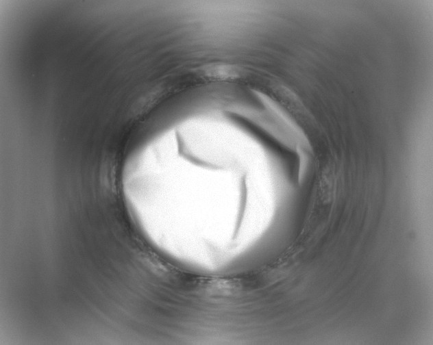 X0000075330330200609292015