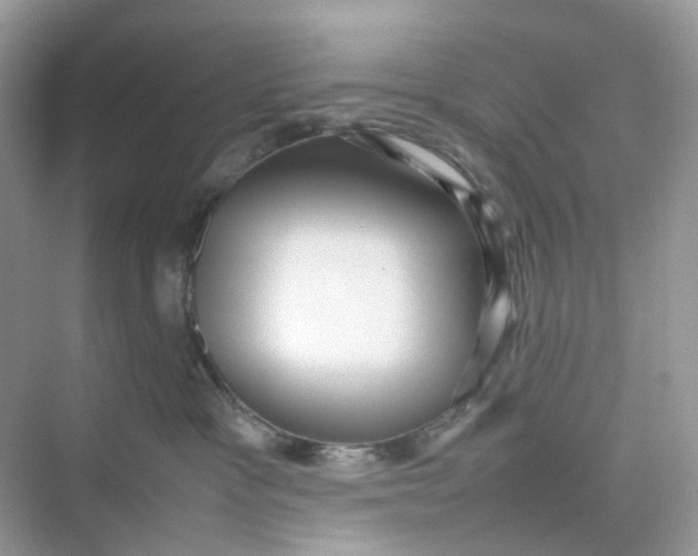 X0000075330333200609292015