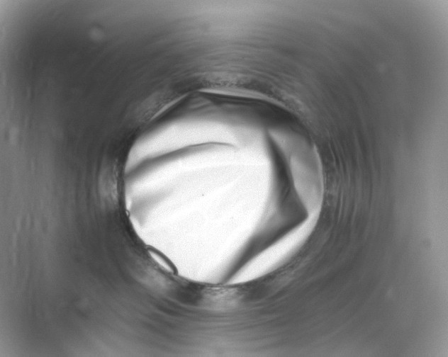 X0000075330334200609292015