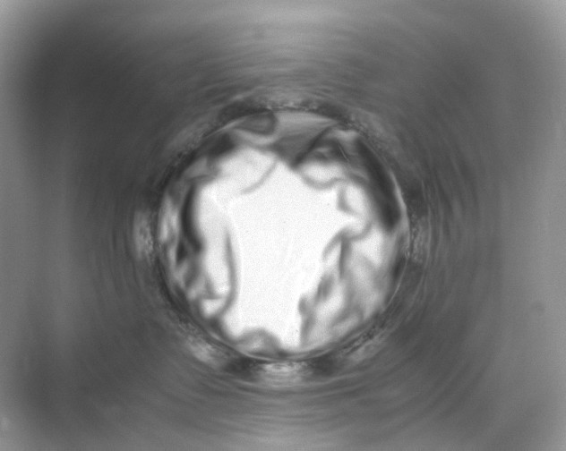 X0000075330335200609292015