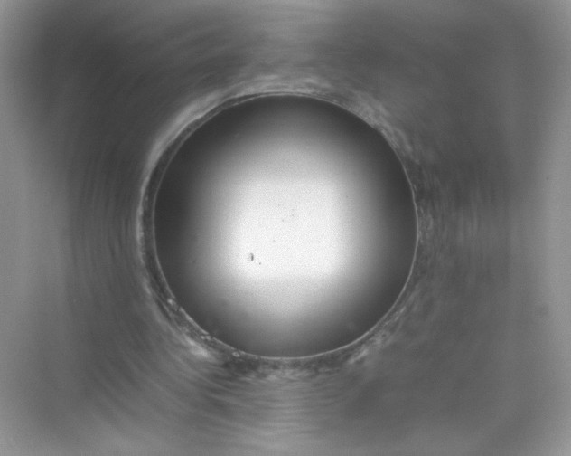 X0000075330340200609292014
