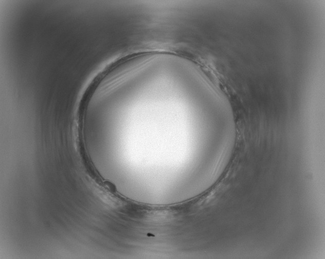 X0000075330342200609292014