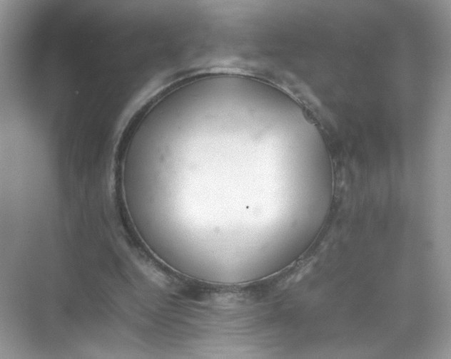 X0000075330344200609292014