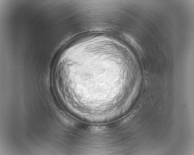 X0000075330346200609292014