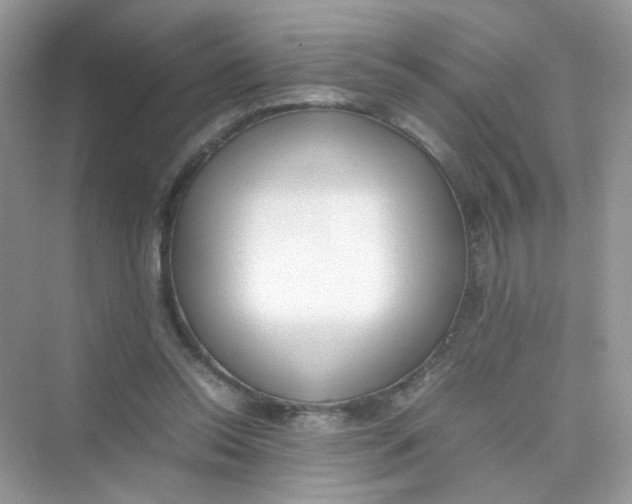X0000075330350200609292014